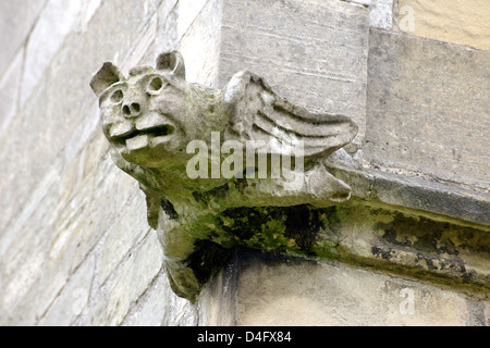 Groteske Steinkopf an der Wand der Muttergottes und St Peter Church, Bothamsall, Nottinghamshire Stockfoto