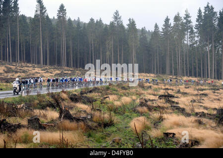 Die Radfahrer-Fahrt durch das Sauerland während der 5. Etappe der "Der Deutschland-Tour" führt von Mainz nach Winterberg, Deutschland, 3. September 2008. Die 5. Etappe war 218,4 Kilometer lang. "Der Deutschland-Tour' 2008 zählt acht Etappe von Kitzbühel nach Bremen, Deutschland, in Höhe von insgesamt 1.408,6 km Foto: Bernd Thissen Stockfoto