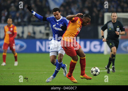 Schalke Joel Matip (L) wetteifert um den Ball mit Istanbuls Didier Drogba während der UEFA Champions League Runde der letzten 16 Sekunden Bein Fußballspiel zwischen FC Schalke 04 und Galatasaray Istanbul in Veltins Arena in Gelsenkirchen, Deutschland, 12. März 2013. BACKROW, L-r: Michel Bastos, Jefferson Farfan, Marco Höger, Joel Matip, Timo Hildebrand. FRONTROW L-r: Teemu Fana Atsuto Uchida, Julian Draxler, Sead Kolasinac, Benedikt Höwedes. Foto: Revierfoto Stockfoto