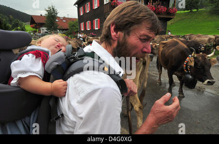 Unbeeindruckt von den Turbulenzen der "Viehscheid", kleine Magdalena schläft auf der Rückseite ihres Großvaters, Milchbauer Klaus Beck, in Gunzesrieder, Deutschland, 10. September 2008. Allgäu "Viehscheid" Saison begann mit der Senkung des Viehs von "Alp Mittelberg" Berg. In den nächsten Wochen mehrere tausend Kühe, die verbrachte den Sommer auf der Alm, wi Stockfoto