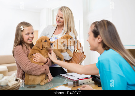 Eigentümer, die Mitnahme von Hunden Tierarzt Chirurgie Stockfoto