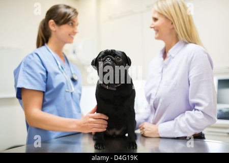 Tierarzt und Besitzer diskutieren Hund Tierarzt Chirurgie Stockfoto