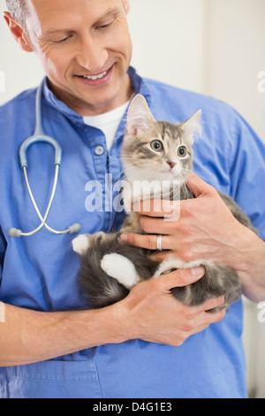 Tierarzt Holding Katze Tierarzt Chirurgie Stockfoto
