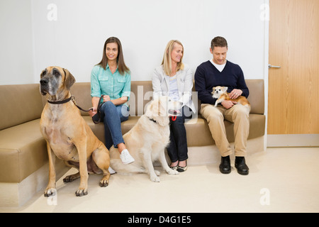 Eigentümer mit Haustier in warten Area†of Tierarzt Stockfoto