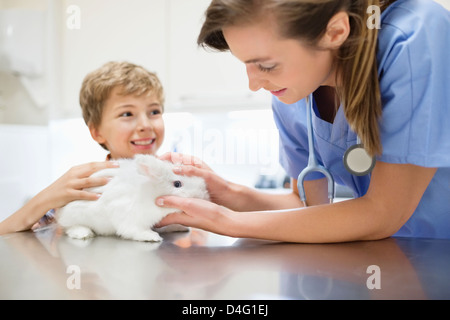 Tierarzt untersucht Kaninchen mit jungen Stockfoto