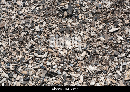 Denkmal für 1989 verbrennen von zehn Tonnen Elfenbein, mit kenianischen Präsidenten Daniel Arap Moi, Nairobi-Nationalpark, Kenia, Oktober 2012 Stockfoto