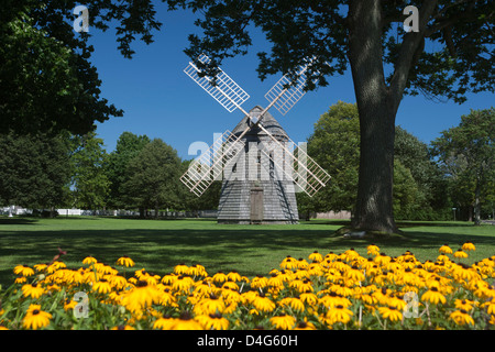 BLACK EYED SUSAN BLUMEN CORWITH WINDMILL VILLAGE GREEN WASSER MÜHLE LONG ISLAND NEW YORK STATE USA Stockfoto