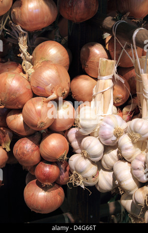 Zwiebel und Knoblauch Zöpfe, England UK. Stockfoto