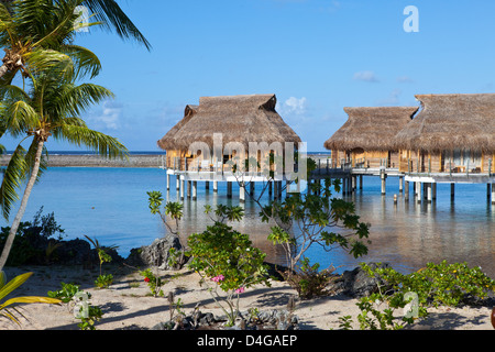 Seeküste mit Palmen und kleinen Häusern auf dem Wasser Stockfoto