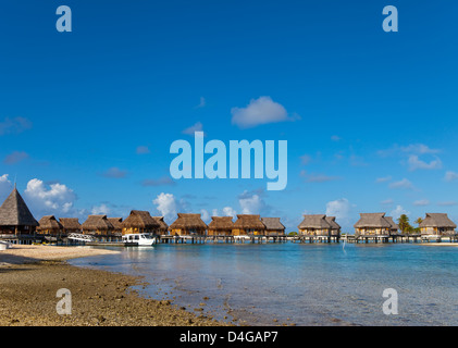 Seeküste mit Palmen und kleinen Häusern auf dem Wasser Stockfoto