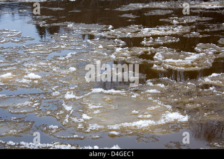 Eisschollen schwimmen auf dem Fluss im winter Stockfoto