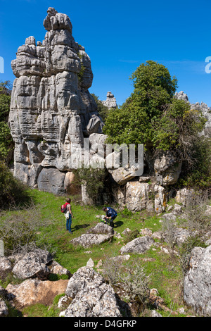 El Torcal de Antequera, Sierra del Torcal, Andalusien, Provinz Malaga, Antequera, Spanien. Stockfoto