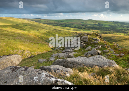 Tavy Cleave betrachtet aus Ger Tor, Dartmoor, Devon, England. Sommer (August) 2012 Stockfoto