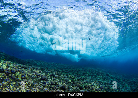 Surf stürzt über einen flachen Teil des Riff auf Molokini Island vor der Küste von Maui, Hawaii. Stockfoto