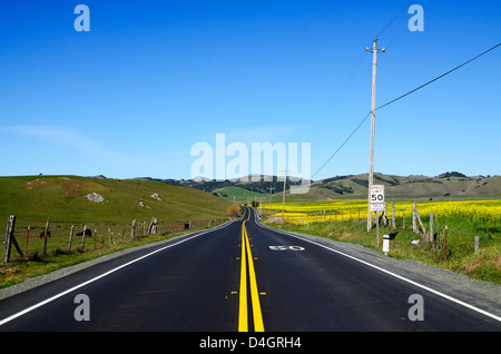 Doppelte gelbe Linie Fahrbahnmarkierungen Stockfoto