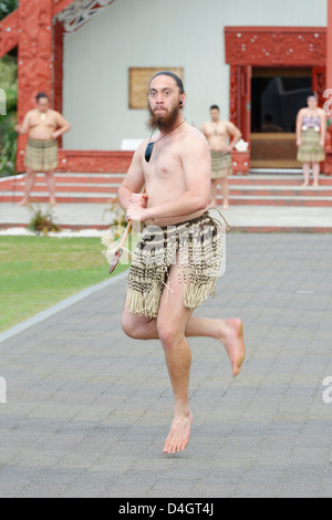 Maori willkommen Tanz-Performance, Te Puia, Rotorua, Nordinsel, Neuseeland Stockfoto