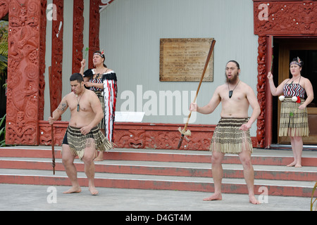 Maori willkommen Tanz-Performance, Te Puia, Rotorua, Nordinsel, Neuseeland Stockfoto