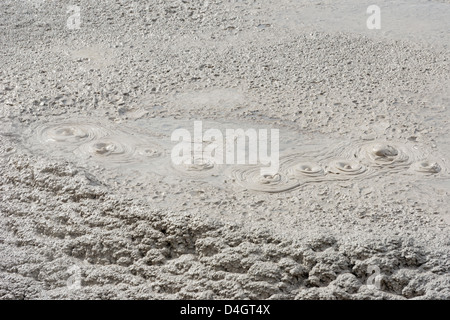 Brodelnde Schlamm, Rotorua, Waiotapu Thermalgebiet, Nordinsel, Neuseeland Stockfoto