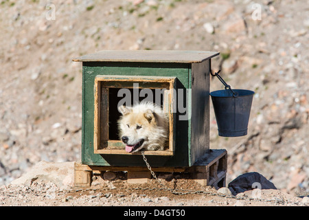 Inuit-Dorf, Sled Dog House, Ittoqqortoormiit, Scoresbysund, Nordostgrönland, Polarregionen Stockfoto