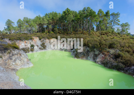 Des Teufels Bad, Waiotapu Thermal Area, Rotorua, Nordinsel, Neuseeland Stockfoto