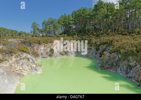 Des Teufels Bad, Waiotapu Thermal Area, Rotorua, Nordinsel, Neuseeland Stockfoto