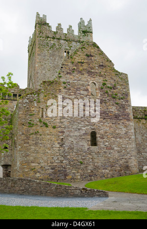 Jerpoint Abbey, Grafschaft Kilkenny, Leinster, Irland (Eire) Stockfoto