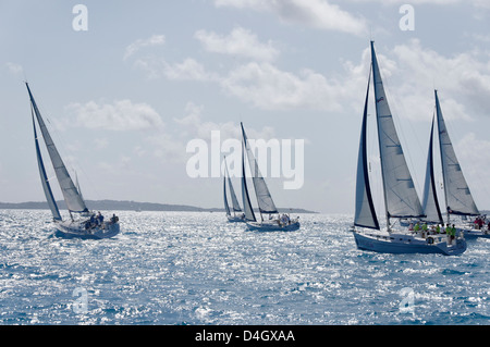 Segelboot-Regatten. Britische Jungferninseln, Karibik, Caribbean Stockfoto