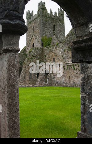 Jerpoint Abbey, Grafschaft Kilkenny, Leinster, Irland (Eire) Stockfoto