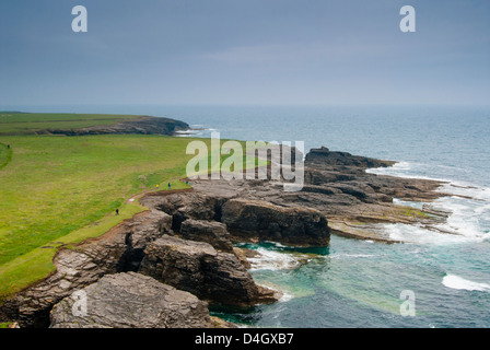 Haken Sie, Kopf, County Wexford, Leinster, Irland (Eire) Stockfoto