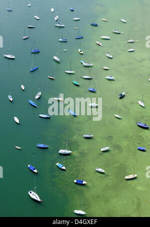 Segeln Boote liegen am Ufer des grün gefärbten See Ammersee, in der Nähe von Utting, Deutschland, 16. Juli 2008. Die Boote gehören zu den Augsburg Yachting Club, einer der ältesten Segelclubs am Ammersee. Meteorologe Wettervorhersage verunsichert in Süddeutschland durch Wirbelstürme. Foto: Peter Kneffel Stockfoto