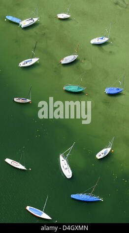 Segeln Boote liegen am Ufer des grün gefärbten See Ammersee, in der Nähe von Utting, Deutschland, 16. Juli 2008. Die Boote gehören zu den Augsburg Yachting Club, einer der ältesten Segelclubs am Ammersee. Foto: Peter Kneffel Stockfoto