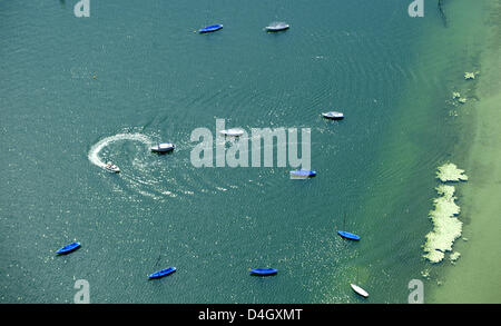 Segeln Boote liegen am Ufer des grün gefärbten See Ammersee, in der Nähe von Utting, Deutschland, 16. Juli 2008. Die Boote gehören zu den Augsburg Yachting Club, einer der ältesten Segelclubs am Ammersee. Foto: Peter Kneffel Stockfoto