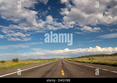 Entlang der Route 66 in der Nähe von Seligman, Arizona, USA Stockfoto