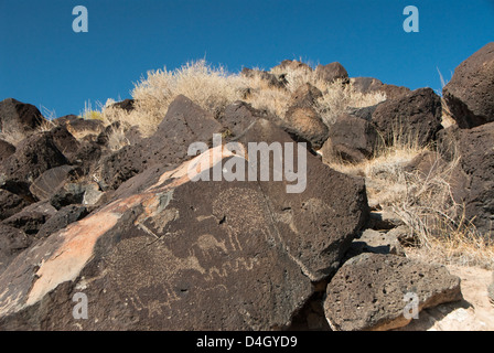 Petroglyph National Monument, New Mexico, USA Stockfoto