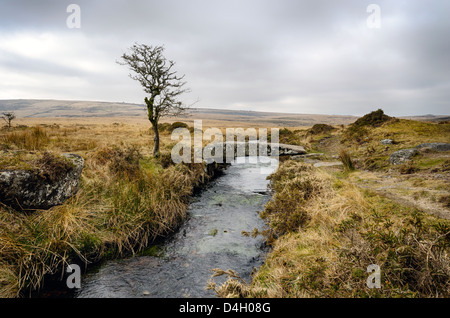 Eine Muschel-Brücke (einzelne Klöppel Brücke) über Walla Bach an Scorhill auf Dartmoor National Park Stockfoto