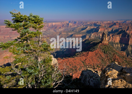 Südost-Ansicht, North Rim, Grand Canyon National Park, UNESCO-Weltkulturerbe, Arizona, USA Stockfoto