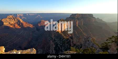 Panoramablick in den späten Abend von Cape Royal North Rim, Grand Canyon National Park, UNESCO World Heritage Site, Arizona, USA Stockfoto