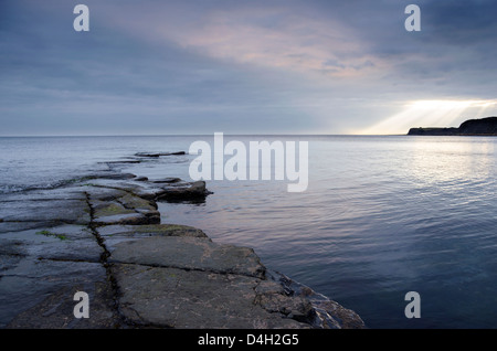 Schiefer simsen offenbart bei Ebbe im Kimmeridge Bay auf die Jura-Küste von Dorset. Stockfoto