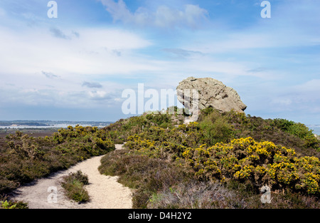 Der Agglestone Felsen in der Godlingston Heide. Studland in Dorset, bestehend aus verwitterten tertiärer Sandstein und mit Blick auf Poole H Stockfoto