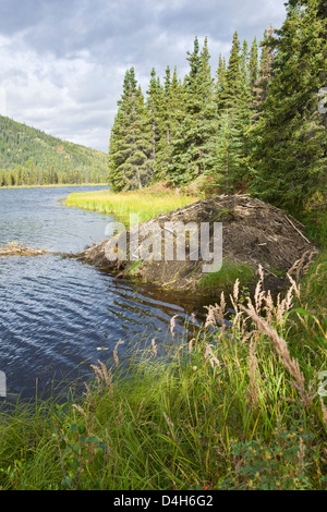 Beaver lodge am Rande eines Triple Seen, Fichten-Wald, Denali Nationalpark, Alaska, USA, Ende August Stockfoto