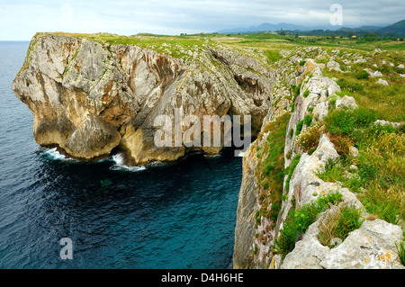 Karst Kalksteinklippen bei Pria, mit Picos de Europa Bergen im Hintergrund, in der Nähe von Llanes, Asturien, Spanien Stockfoto