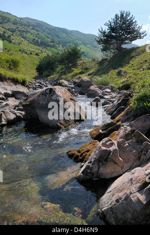 Rio Aragon Subordan im oberen Hecho-Tal im Sommer, Huesca, Aragon, Spanien Stockfoto