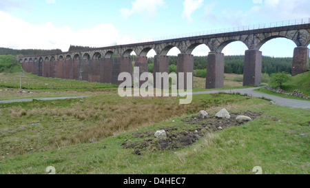 Große Wasser der Flotte Viadukt am südlichen Rand der Galloway Forest Park in Schottland. Stockfoto