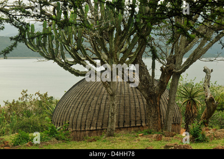 KwaZulu-Natal, Südafrika, Gebäude, traditionelle Gras Zulu Hütte, ländlichen Umgebung, Shakaland Thema Dorf, Haus, bau Stockfoto