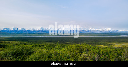 Panoramablick auf Mt. McKinley (Denali Berg), der höchste Punkt in Nordamerika (20.320') von der Westseite des Denali NP betrachtet Stockfoto