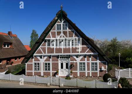 Altes Land, Bauernhaus am Fluss Luehe, Steinkirchen, Niedersachsen, Deutschland Stockfoto