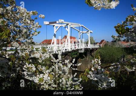 Altes Land, Steinkirchen, Hogendiek-Brücke über Fluss Luehe, Niedersachsen, Deutschland Stockfoto