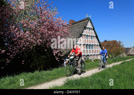 Altes Land, Radfahrer vor einem alten gerahmte Bauernhaus am Fluss Este Deich, Niedersachsen, Deutschland Stockfoto