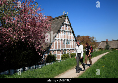 Altes Land, Wanderer, Wanderer vor ein gerahmtes Bauernhaus am Este Deich, Niedersachsen, Deutschland Stockfoto