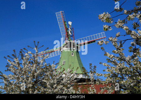 Altes Land, Windmühle VENTI AMICA in Twielenfleth in der Nähe von Stade, Niedersachsen, Deutschland Stockfoto